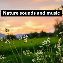 Nature sounds and music, Pt. 4