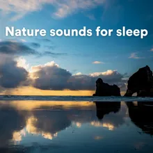 Nature sounds for sleep, Pt. 5