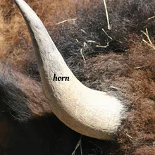 horn