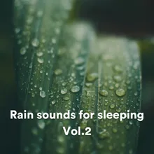 Rain sounds for sleeping, Pt. 21