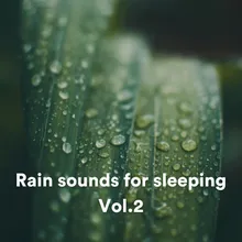 Rain sounds for sleeping, Pt. 22