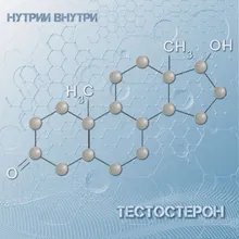 Тестостерон