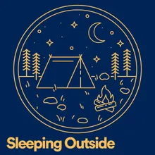 Sleeping Outside, Pt. 27