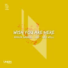 Wish You Are Here