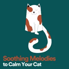 Soothing Melodies to Calm Your Cat, Pt. 10