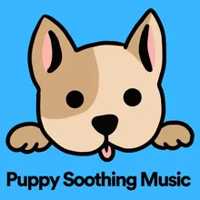 Puppy Soothing Music, Pt. 24