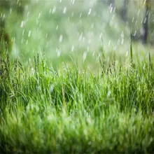 雨声