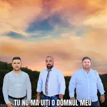 TU NU MA UITI O DOMNUL MEU