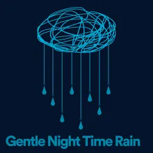 Gentle Night Time Rain, Pt. 9