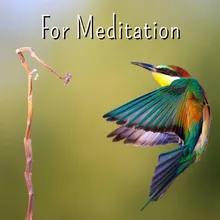 For Meditation