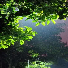 深夜助眠雨声