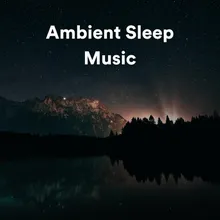 Sleep Baby Music