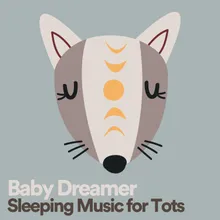 Baby Dreamer Sleeping Music for Tots, Pt. 5