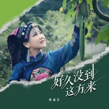 好久没到这方来