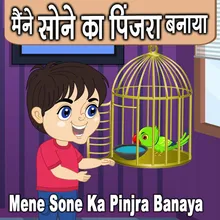 Mene Sone Ka Pinjra Banaya