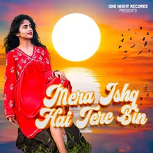 Mera Ishq Hai Tere Bin