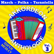 Super Medley Polka (Dancing Polka, Clin D'oeil Polka, la Polka Des Zibelines, Annen Polka, Cocktail Polka, Bibiche Polka, Polka Dry, Liechtensteiner Polka, Frivolite Polka, Rapide Digitale)