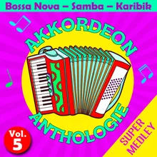 Super Medley Karibik (Lolita Ai Lolita, la Carioca, Mlle Pitti, P'tit Zouk, Le Koudourou de Ma Doudou, Le 14 Juillet, Destination Cuba, Salsa en Ligne, Bambino, Le Bateau de Tahiti)