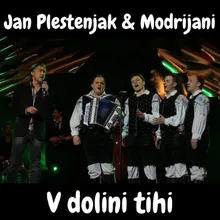 V dolini tihi