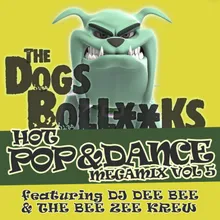 The Dogs BollXXks Hot Pop & Dance Megamix, Vol. 5 Continuos Mix