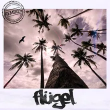 Flügel Visioneight & Bootmasters Edit