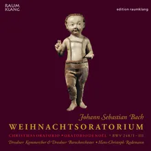 Weihnachtsoratorium I, BWV 248: No. 3, Rezitativ (Alt): Nun wird mein liebster Bräutigam