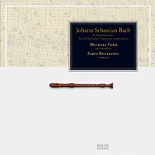 Flute Sonata in E Major, BWV 1035: III. Siciliano