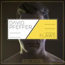 Flaws Remix