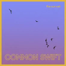 Common Swift