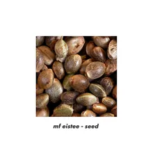 seed