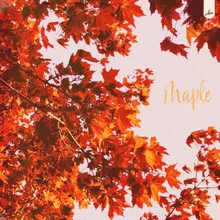 Maple