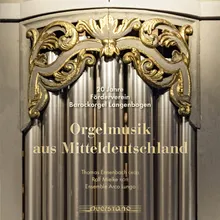 Sonate für Flöte und Orgel: II. Allegro