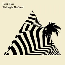 Walking in the Sand Instrumental