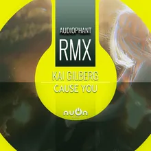 Cause You Audiophant Remix