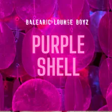 Purple Shell Instrumental