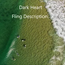 Fling Description