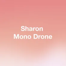 Mono Drone