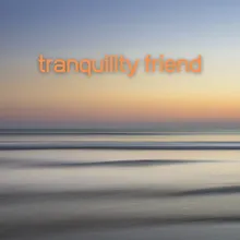Tranquility Friend: Quiet and Freedom Lounge Out Nowwhere