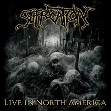 Surgery of Impalement Live