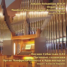 Nun komm, der Heiden Heiland in G Minor, BWV 659 "Leipzig Chorale No. 9"