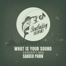 What Is Your Sound Sander's Mix