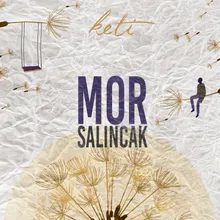 Mor Salıncak