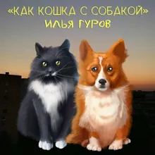 Как кошка с собакой