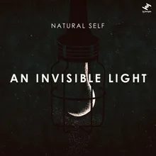 An Invisible Light Robinn Remix