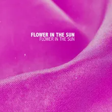 Flower In The Sun Hoppy Mix