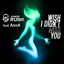 Wish I Didn't Miss You Radio Edit