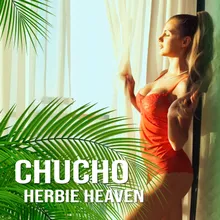 Herbie Heaven Radio Edit