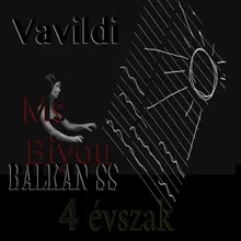 Vavildi Winter Bss and Ms Biyou