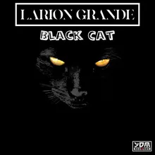 Black Cat