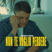 Nun te voglio peredere